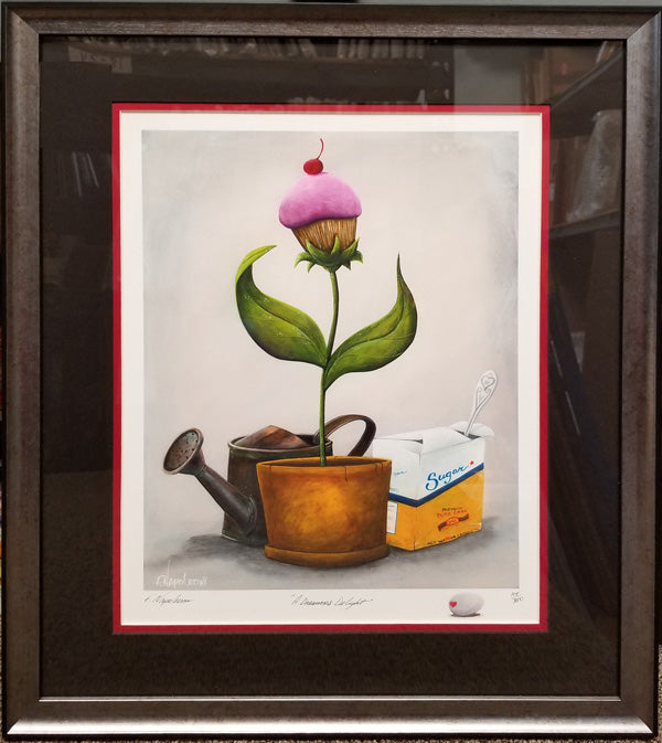 a-dreamers-delight-framed