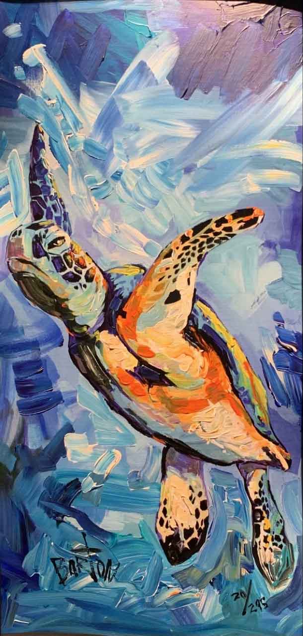 coral gallery wrap steve barton