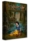 disney snow white's sanctuary