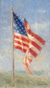 Andy Thomas My Flag