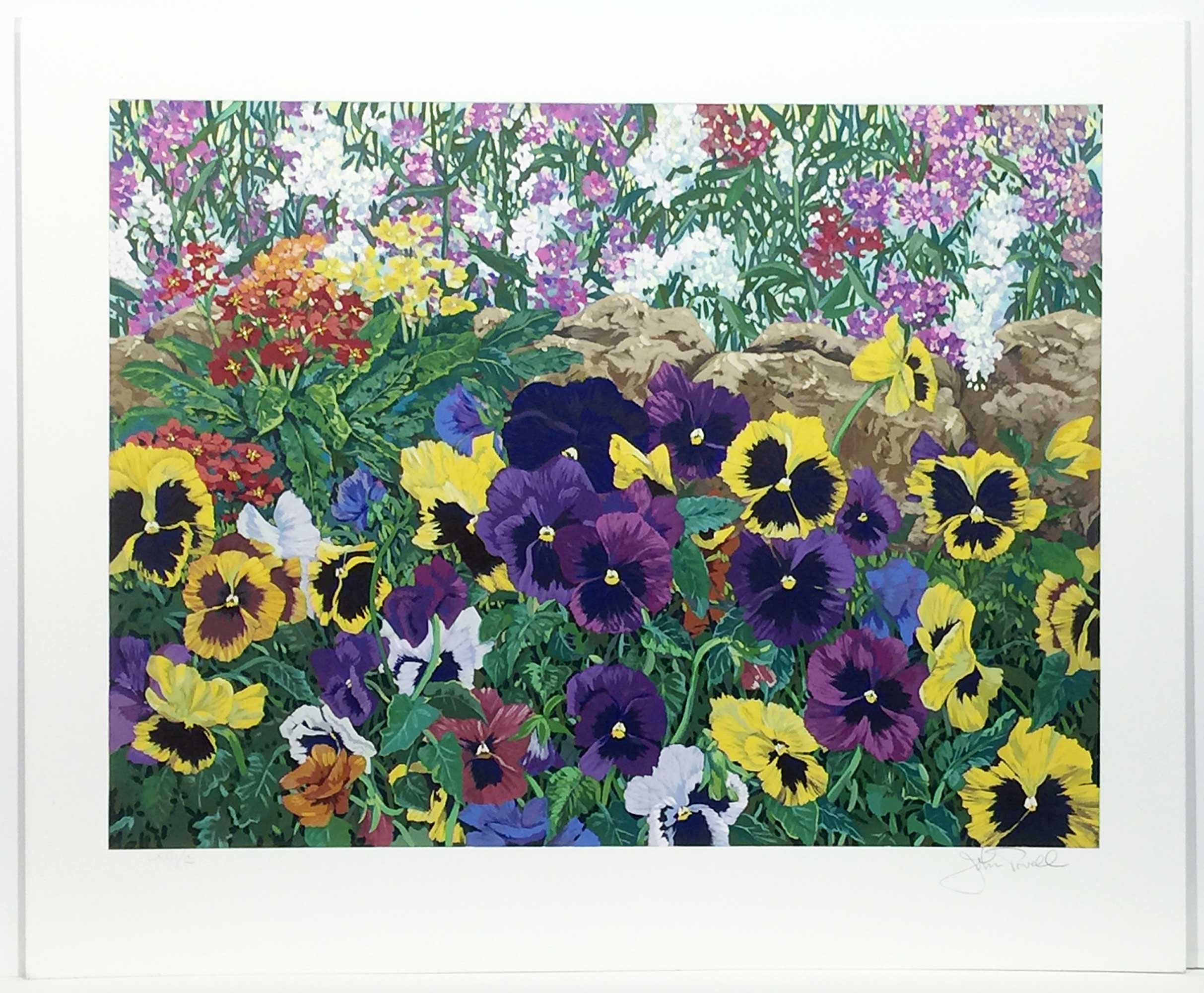 Purple-Pansies-John-Powell