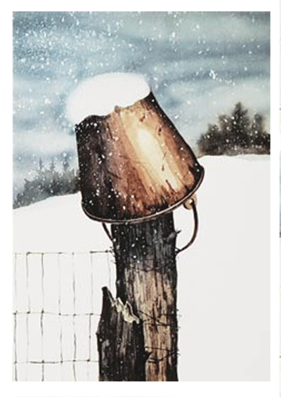 the-bucket-by-owen-wexler
