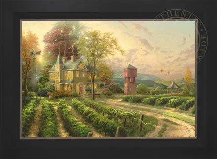 Laguna Vista Gallery
