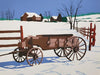 armond fields first snow