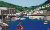 armond fields fishermans cove