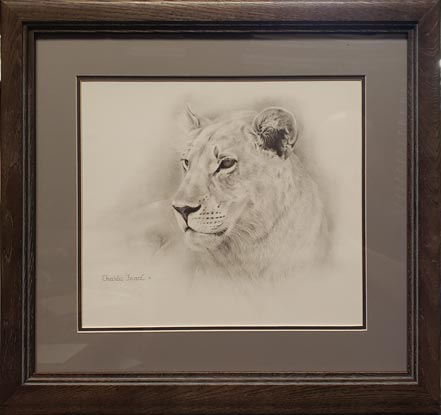 charles frace lioness