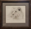 charles frace lioness