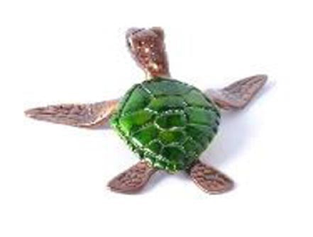 chris barela slow poke