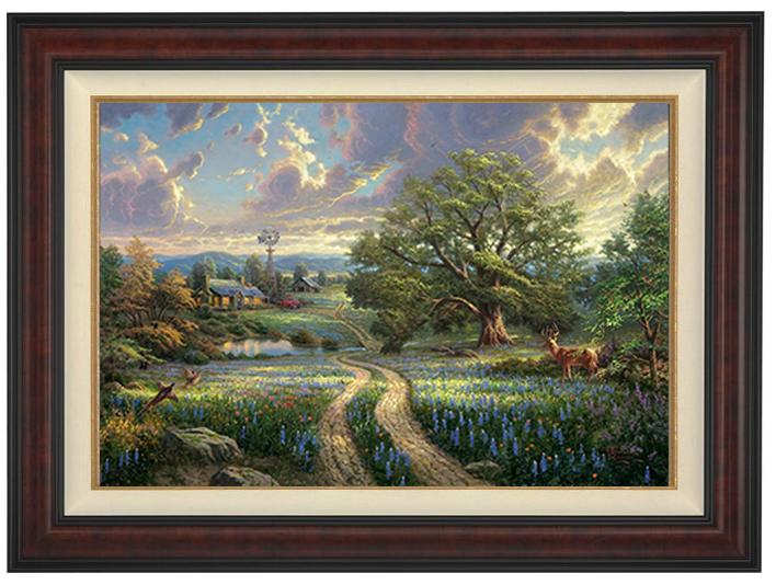 Laguna Vista Gallery
