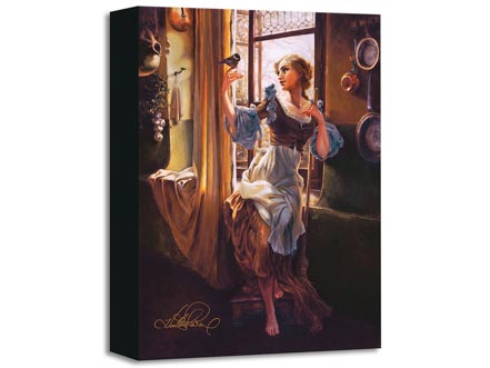 disney cinderellas new day
