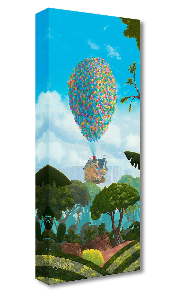 disney ellie's dream