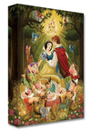disney happily ever after