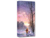 disney snowy path