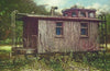 fitzgerald at rest