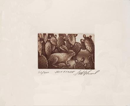 fitzgerald jack rabbit