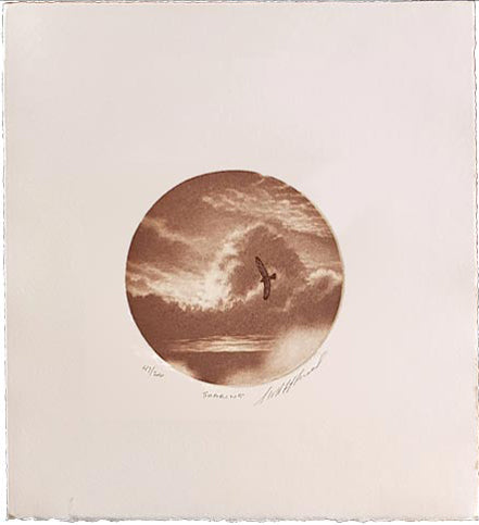 fitzgerald soaring