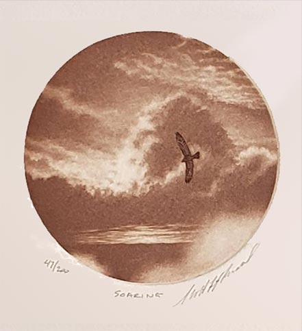 fitzgerald soaring
