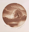 fitzgerald soaring