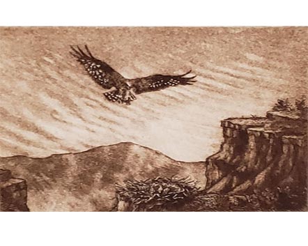 fitzgerald windy landing