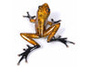 frogman jackpot