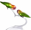 frogman lovebirds