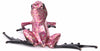 frogman passion