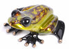 frogman prancer