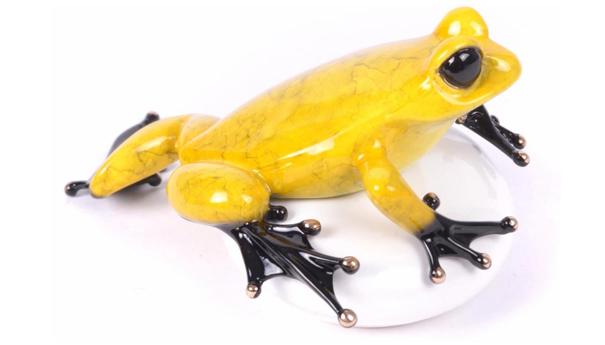 frogman rock star