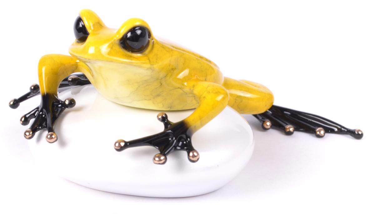 frogman rock star