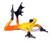 frogman sunbather
