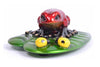 frogman twinkle
