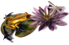frogman water lotus