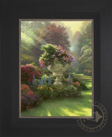 Laguna Vista Gallery