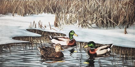 gerald lubeck winter haven