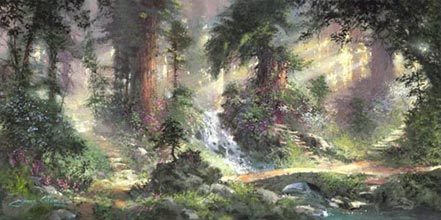 james coleman alone in the woods