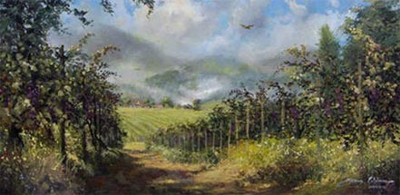 james coleman napa vineyard