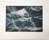 Susan Jameson Skiddew Lightning