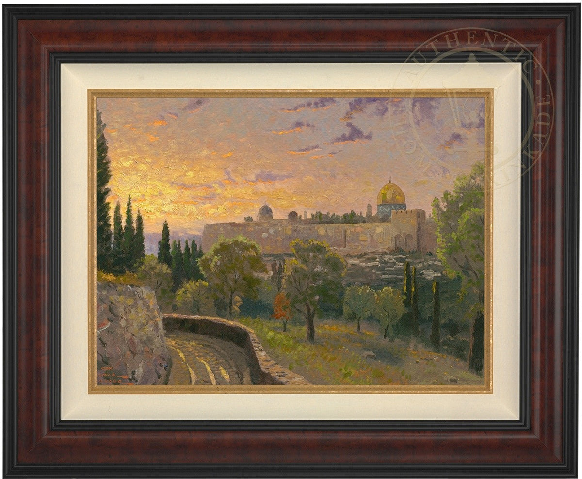 Laguna Vista Gallery