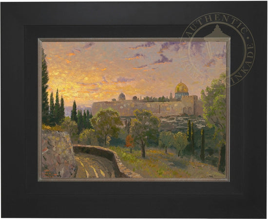 Laguna Vista Gallery