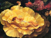 mary baxter stclair fairy gold