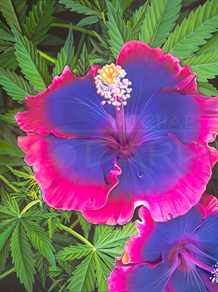 michael godard high-biscus