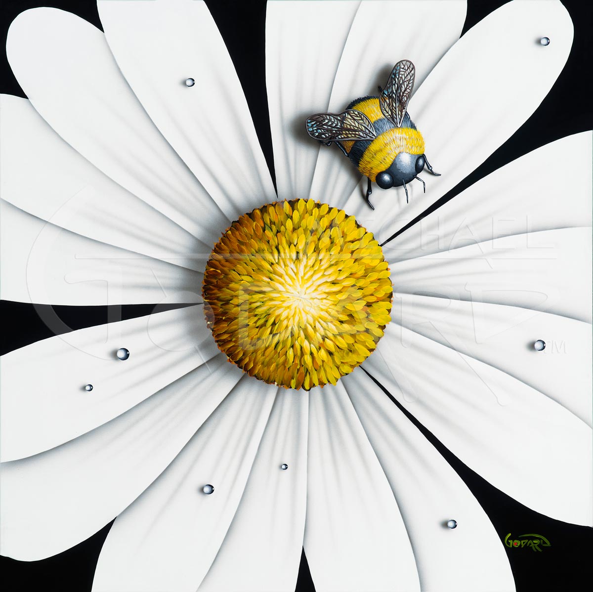 michael godard flower series white flower bumblebee