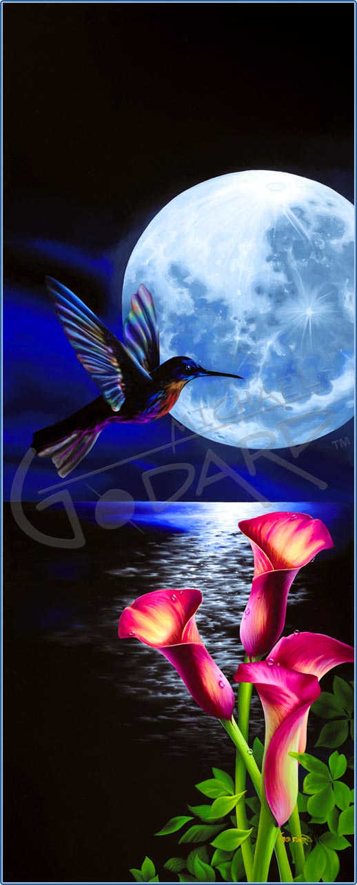 michael godard night flight