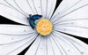 michael godard white flower butterfly