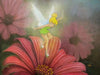 mike kupka morning blossoms