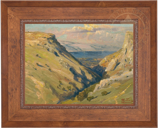Laguna Vista Gallery