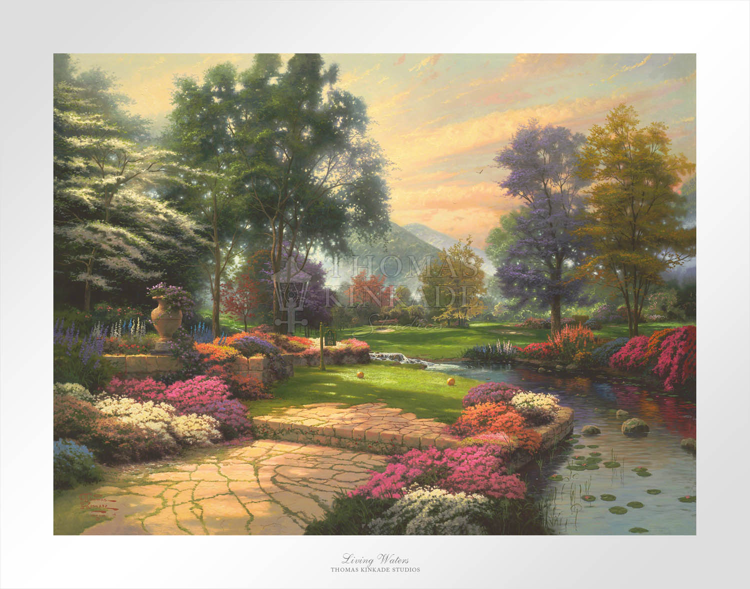 Laguna Vista Gallery