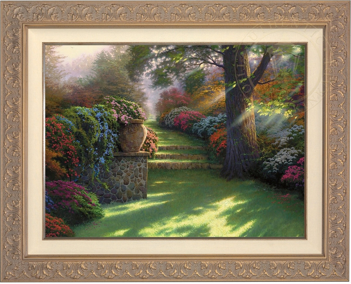 Laguna Vista Gallery