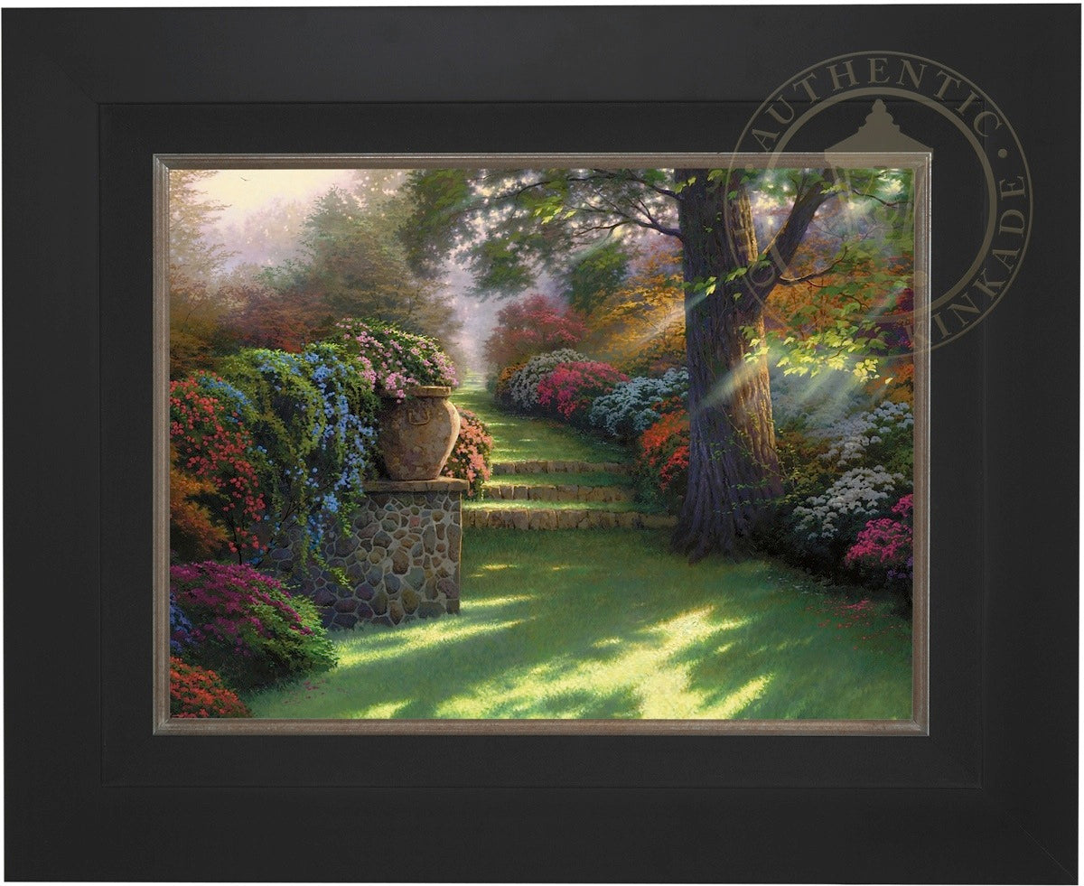 Laguna Vista Gallery