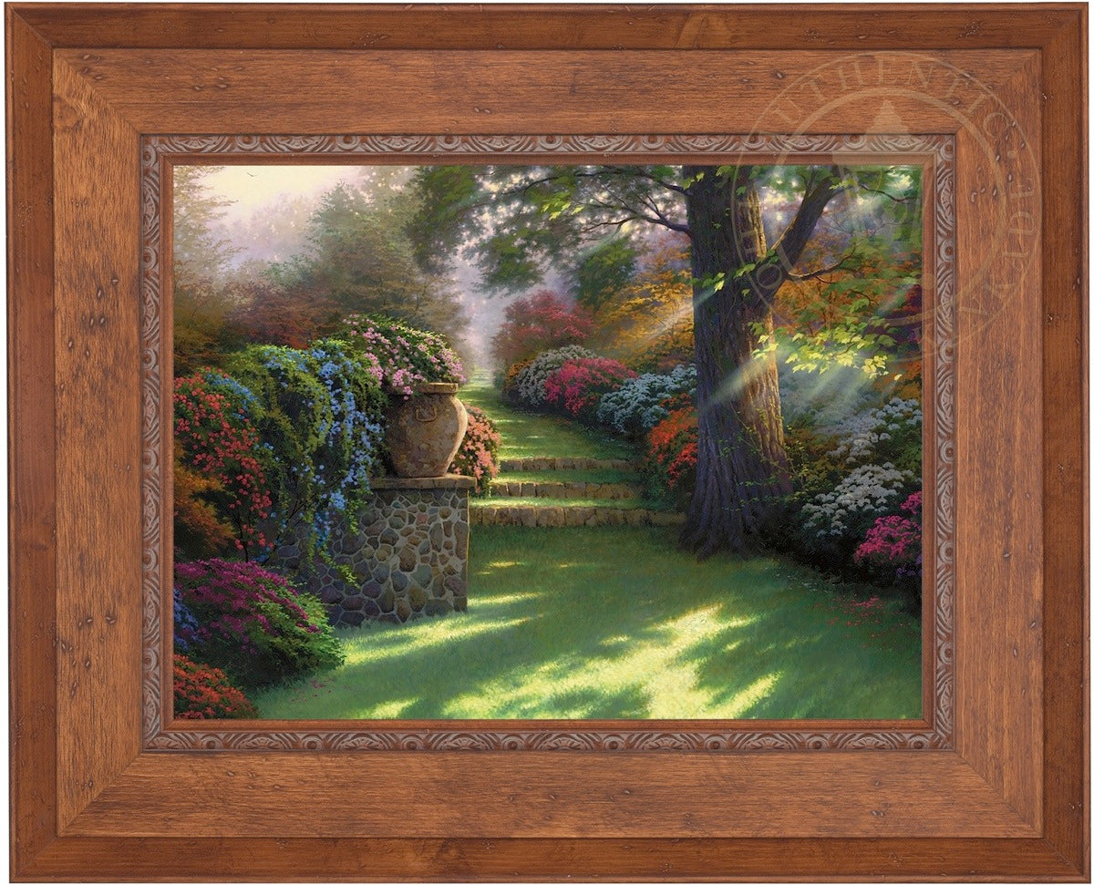 Laguna Vista Gallery